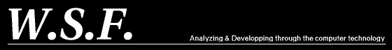 W.S.F. - Analyzing & Developpingthrough the computer technology